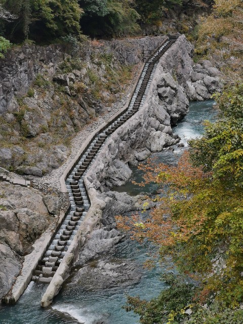 f:id:kaina0121:20201102203549j:image f:id:kaina0121:20201102203549j:image
