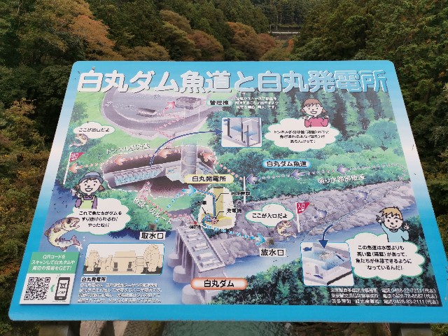 f:id:kaina0121:20201102203606j:image f:id:kaina0121:20201102203606j:image