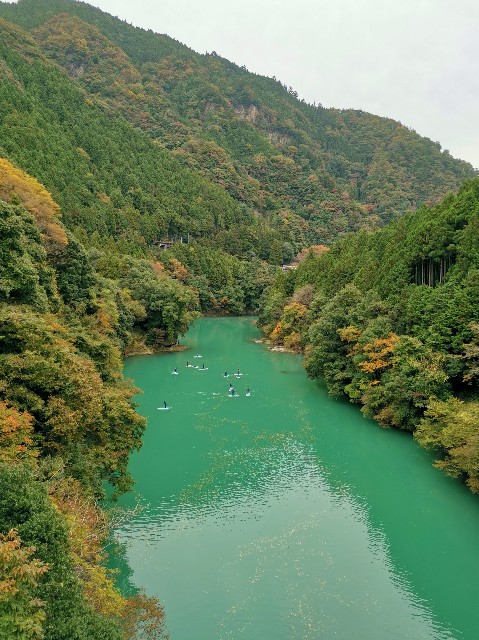 f:id:kaina0121:20201102204233j:image f:id:kaina0121:20201102204233j:image