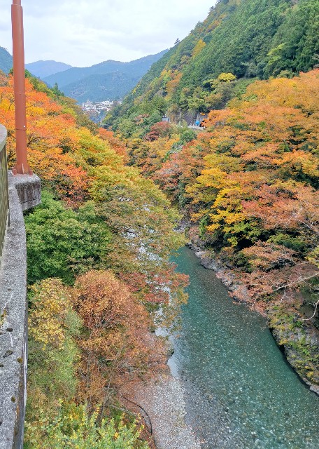 f:id:kaina0121:20201102205028j:image f:id:kaina0121:20201102205028j:image