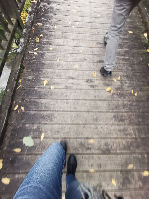 f:id:kaina0121:20201102205142j:image f:id:kaina0121:20201102205142j:image