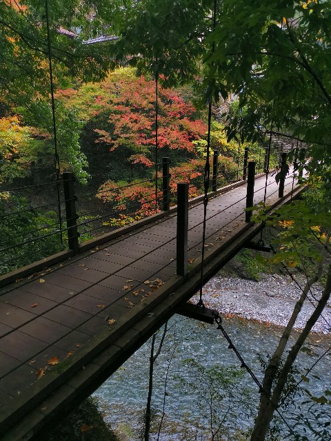 f:id:kaina0121:20201102210452j:image f:id:kaina0121:20201102210452j:image