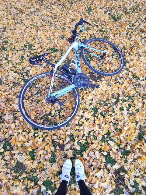 f:id:kaina0121:20201125085955j:image