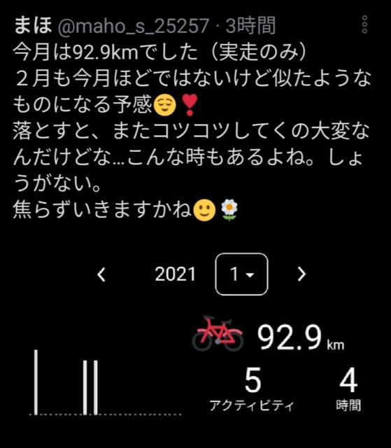 f:id:kaina0121:20210131180953j:image