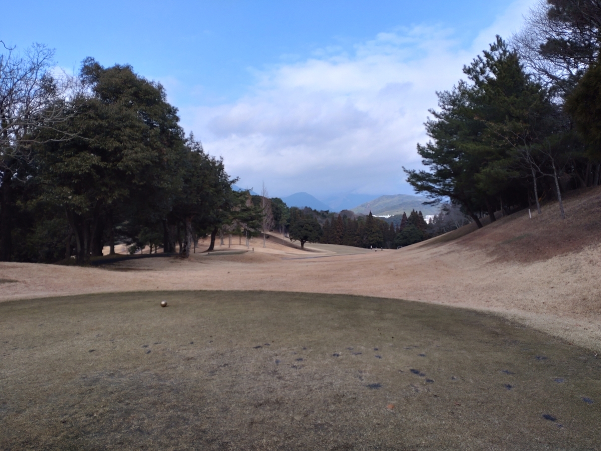 f:id:kaininnjya:20220123133503j:plain