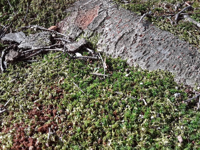 f:id:kainuma-k5:20200908170627j:plain