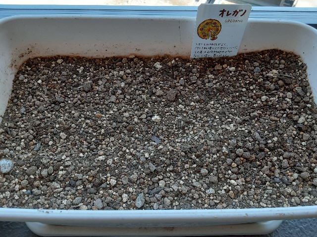 f:id:kainuma-k5:20210228132519j:plain