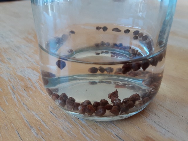 f:id:kainuma-k5:20211128175404j:image