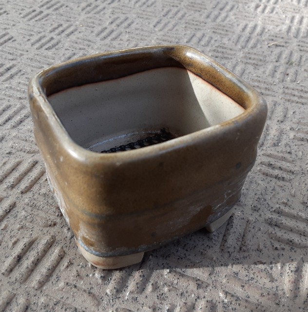 f:id:kainuma-k5:20211211165726j:image