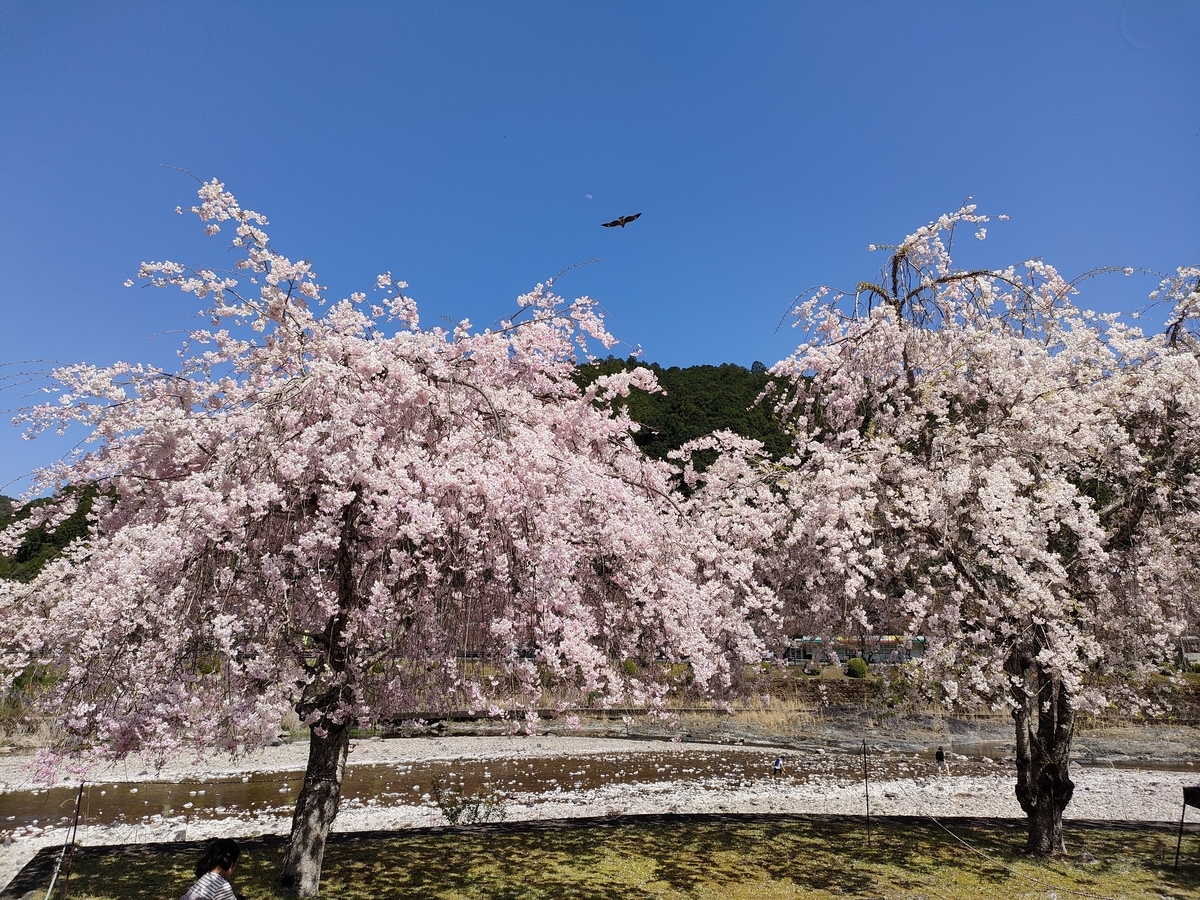 f:id:kairada0212:20220415003356j:plain