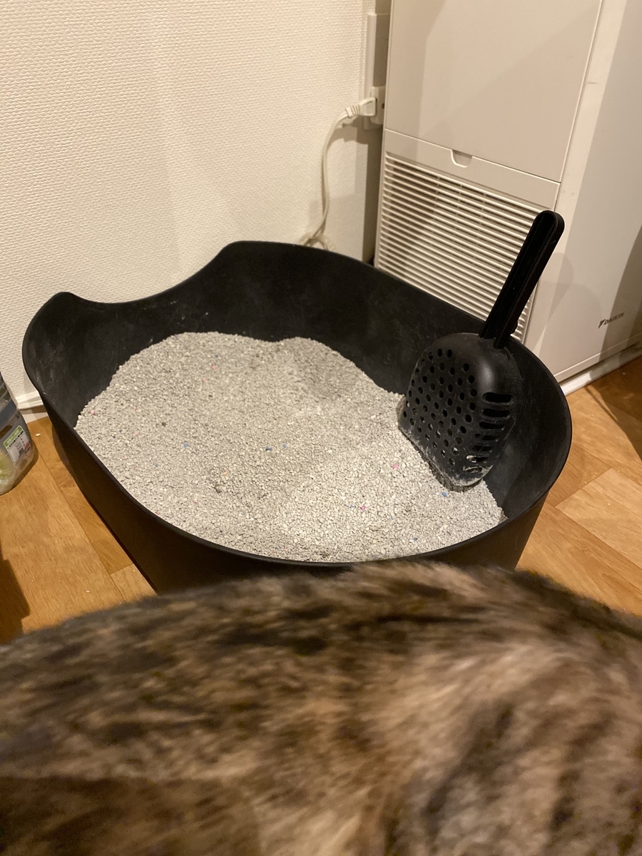 f:id:kaisepia:20200309201951j:plain