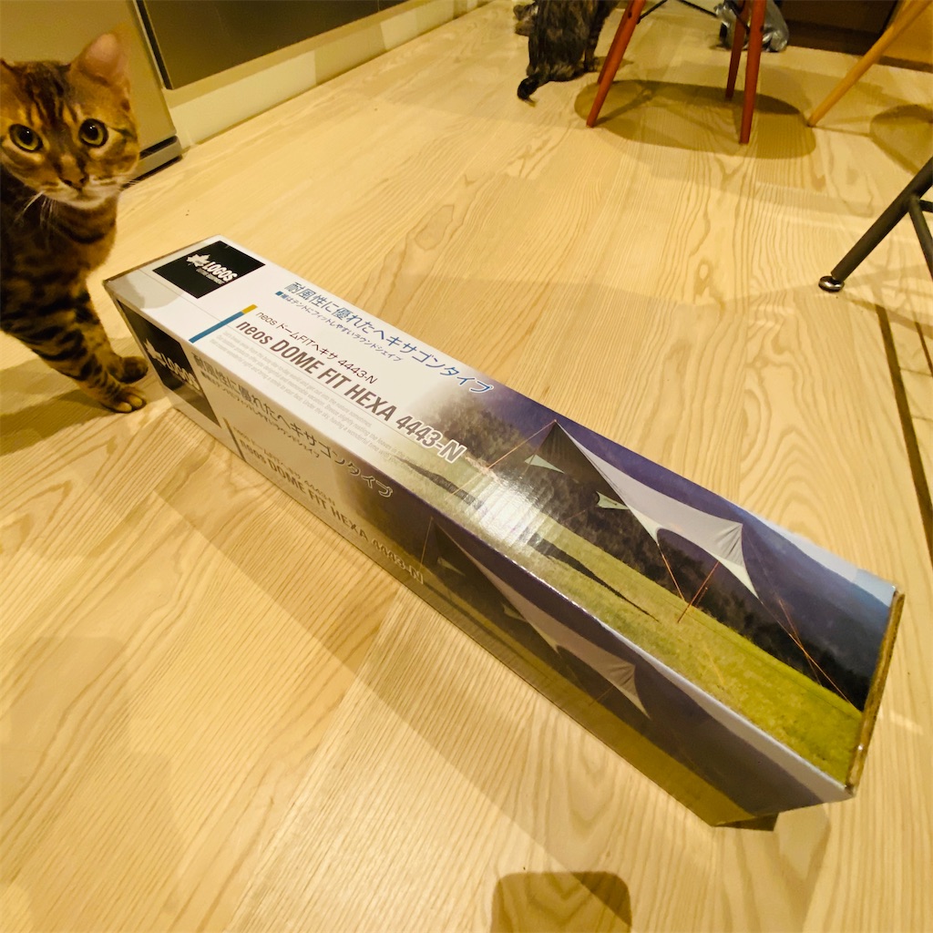 f:id:kaisepia:20200311143123j:image