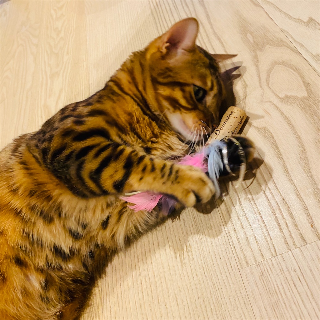 f:id:kaisepia:20200325191418j:image