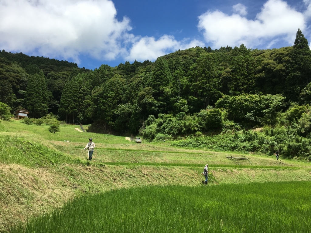 f:id:kaisoku_life:20180702191550j:plain f:id:kaisoku_life:20180702191550j:plain