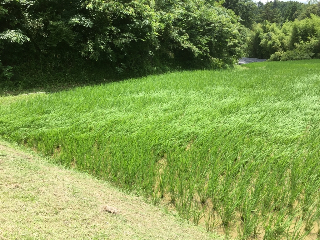 f:id:kaisoku_life:20180702193655j:plain f:id:kaisoku_life:20180702193655j:plain