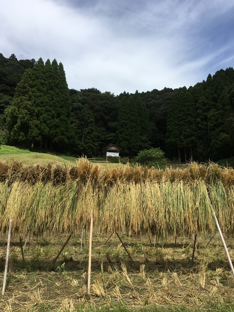 f:id:kaisoku_life:20180917222028j:plain f:id:kaisoku_life:20180917222028j:plain