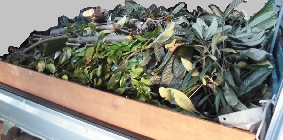 f:id:kaisou_jji:20220208121237j:plain