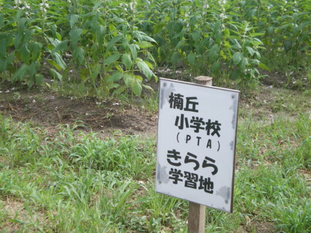 f:id:kaitan_mikio:20090811143945j:image