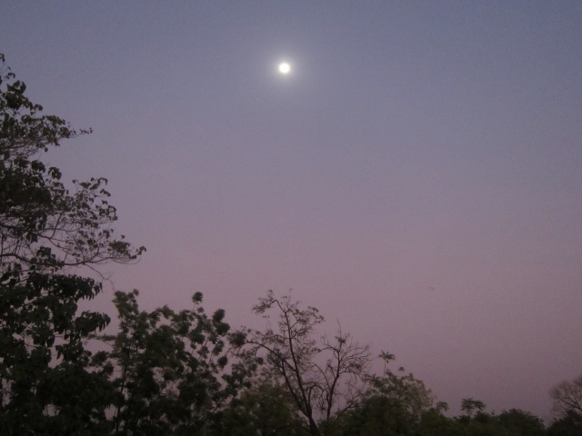 f:id:kaito2010:20120106182152j:image