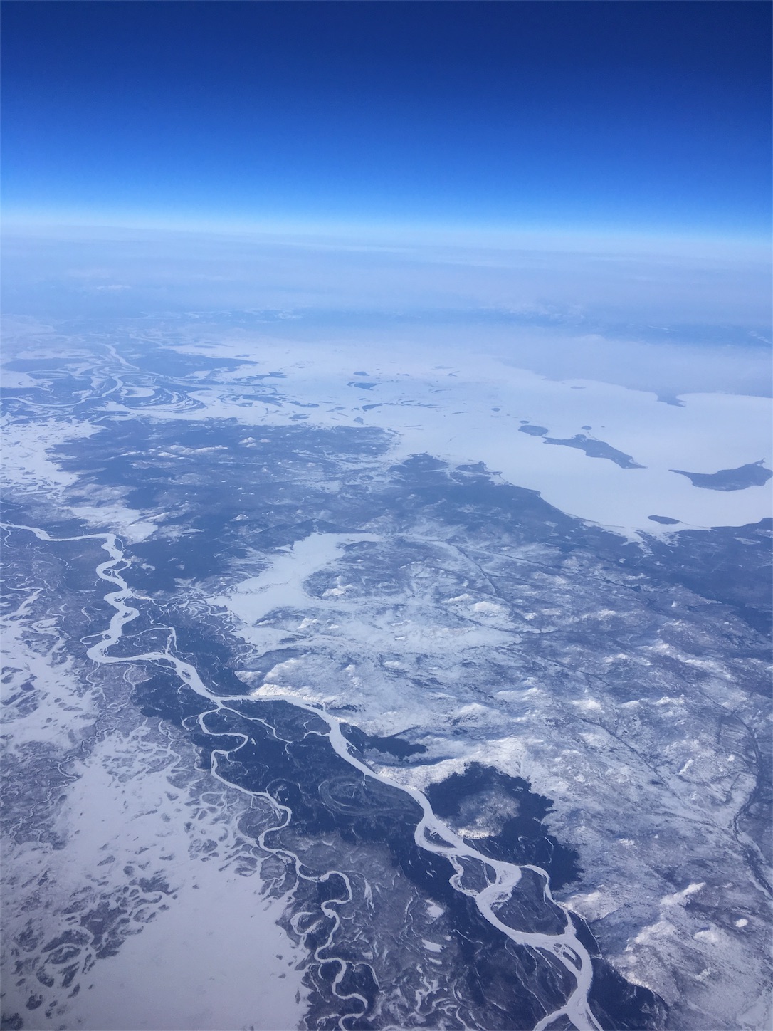 f:id:kaitoflamenco:20180611132017j:image f:id:kaitoflamenco:20180611132017j:image