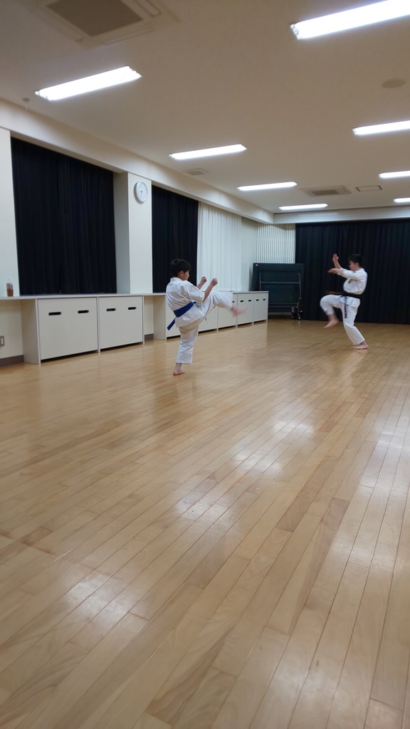 f:id:kaitokunaobakun:20190124162116j:plain
