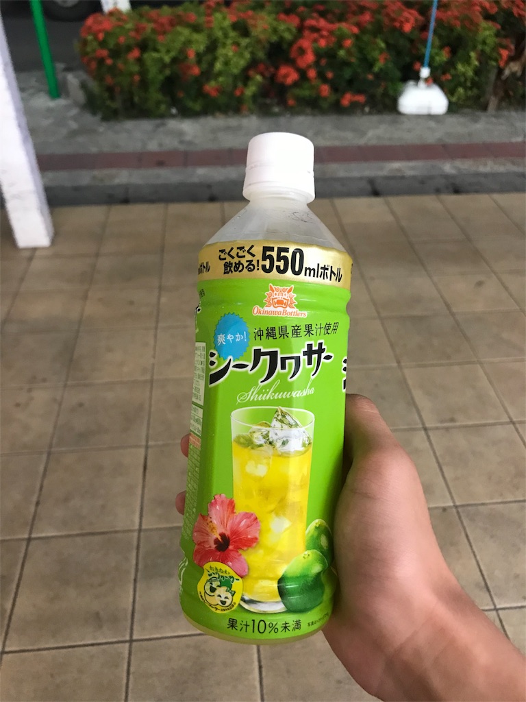 f:id:kaitrip18:20180615061305j:image