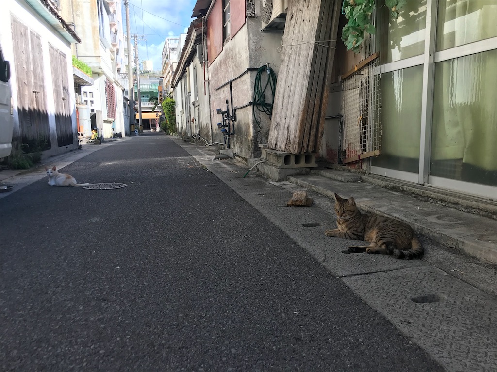 f:id:kaitrip18:20180713064808j:image