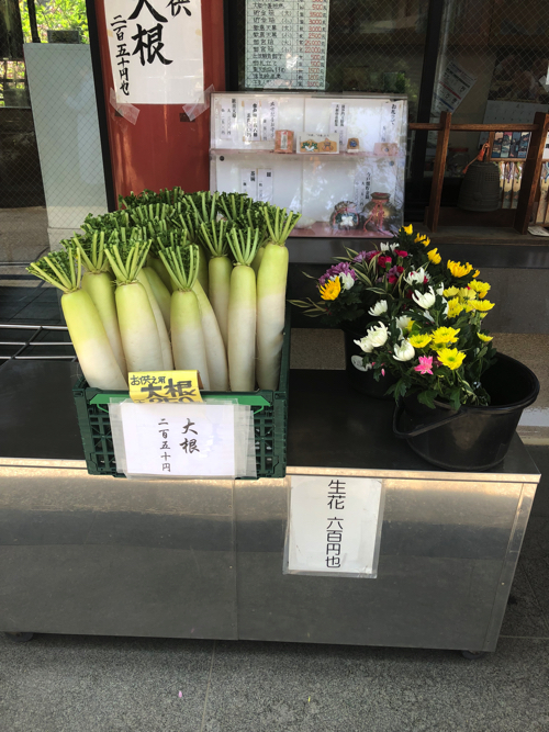 f:id:kaiun7864:20190428161945j:plain