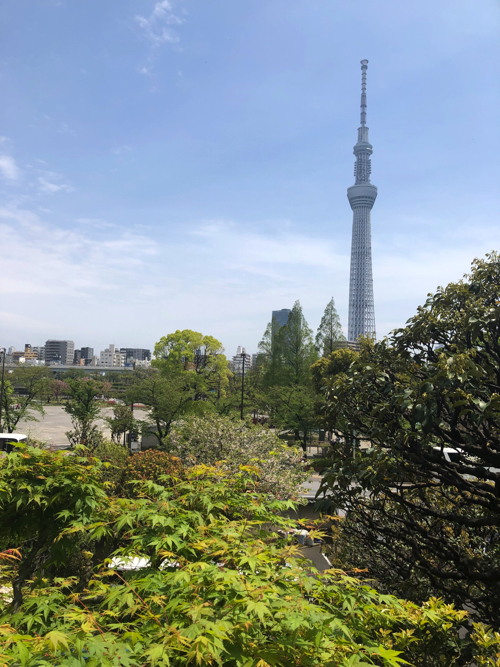 f:id:kaiun7864:20190429122033j:plain