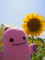 20160814010528