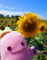 20160814010540