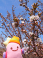 かわいい桜