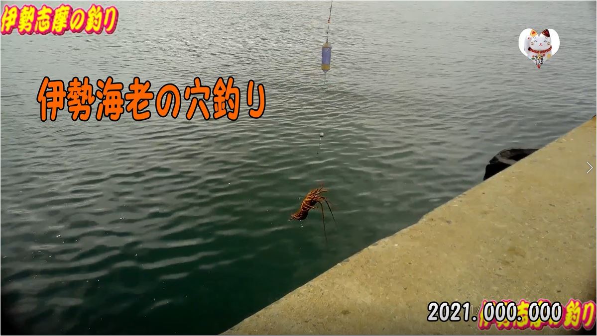 f:id:kaiyumaru:20210801053741j:plain