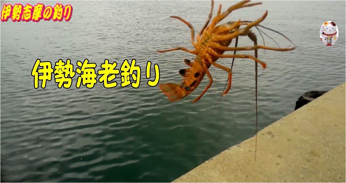伊勢海老釣り、よく釣れる新仕掛け - 20210805041445