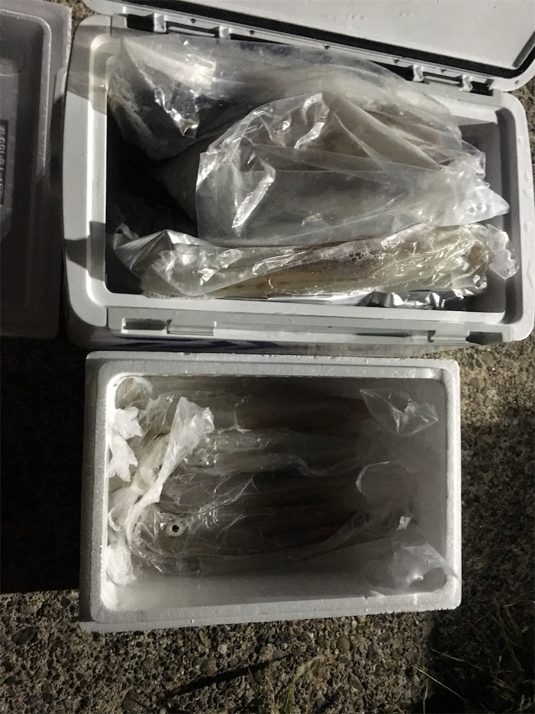 f:id:kaiyuumaru:20190905004910j:image