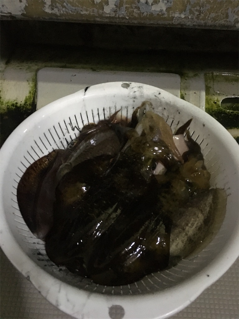f:id:kaiyuumaru:20191031213355j:image