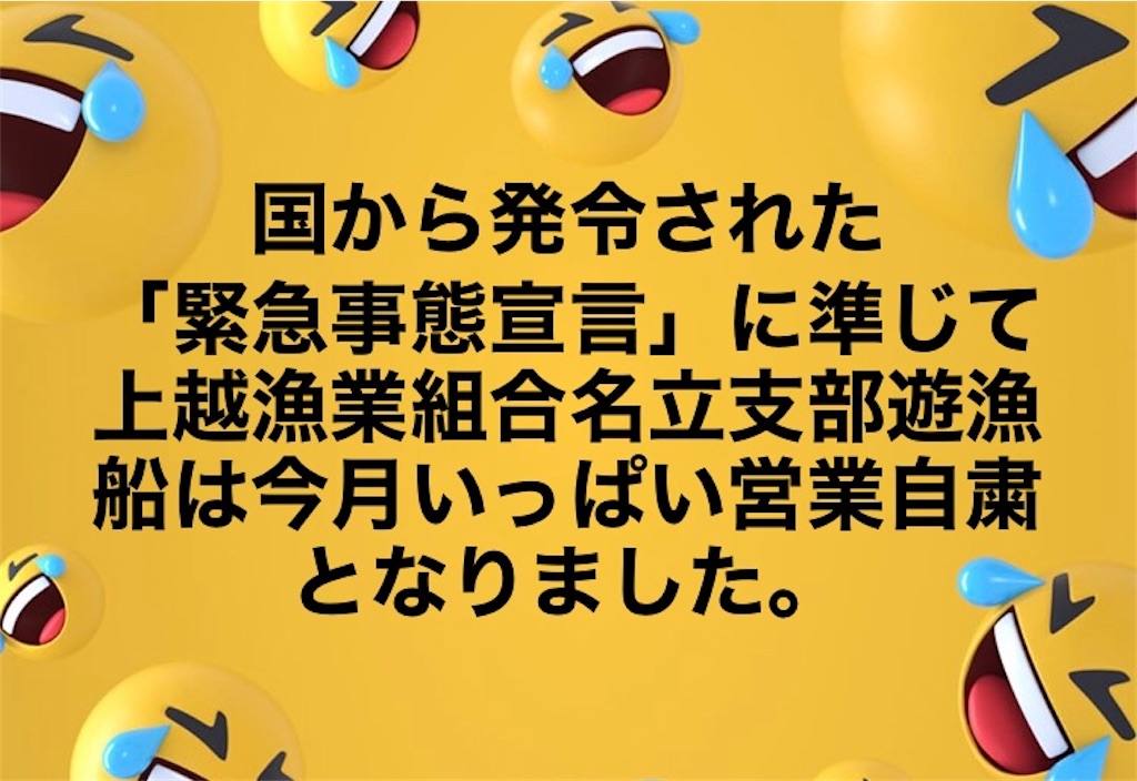 f:id:kaiyuumaru:20200418183312j:image f:id:kaiyuumaru:20200418183312j:image