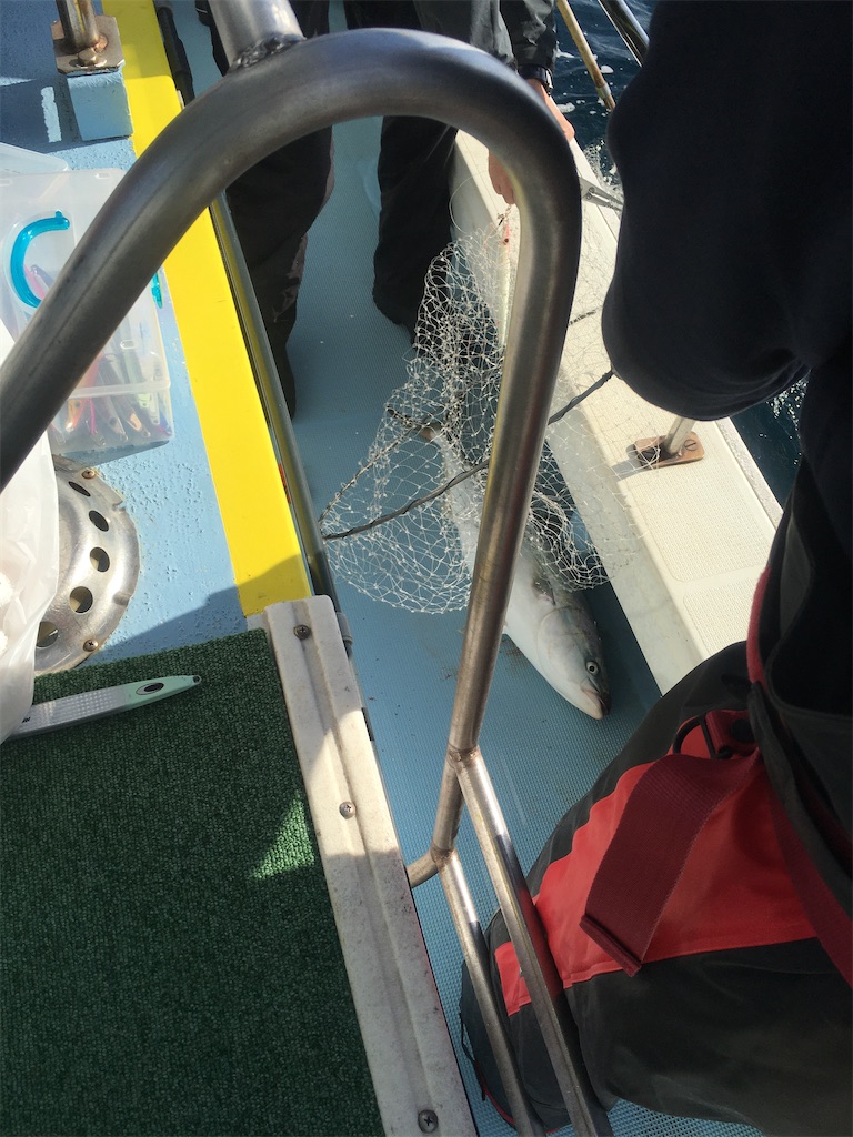 f:id:kaiyuumaru:20201027182611j:image
