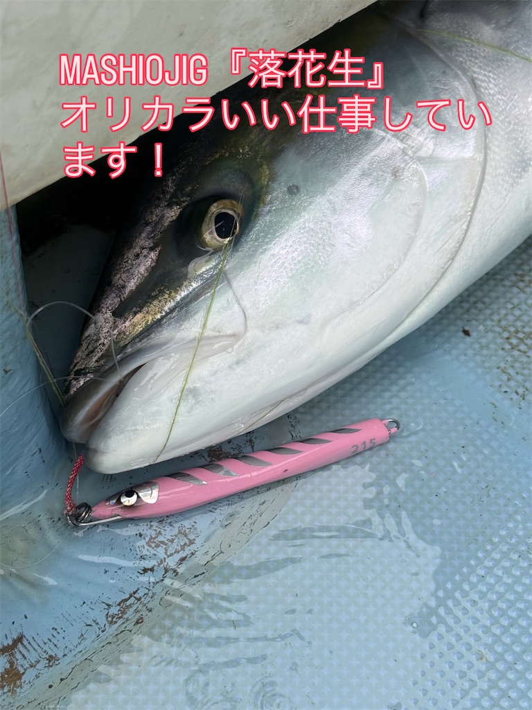 f:id:kaiyuumaru:20260211143044j:image