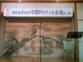 20080412182429