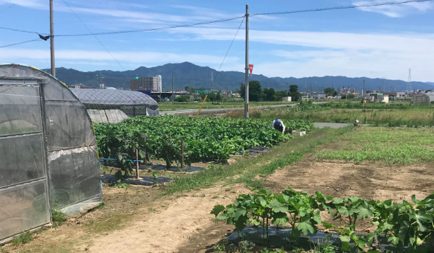 f:id:kaizenplatform:20190619230903p:plain f:id:kaizenplatform:20190619230903p:plain