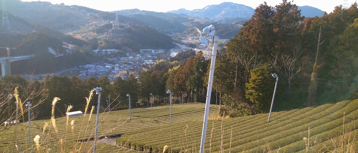 f:id:kaji-ta:20210213175350j:plain