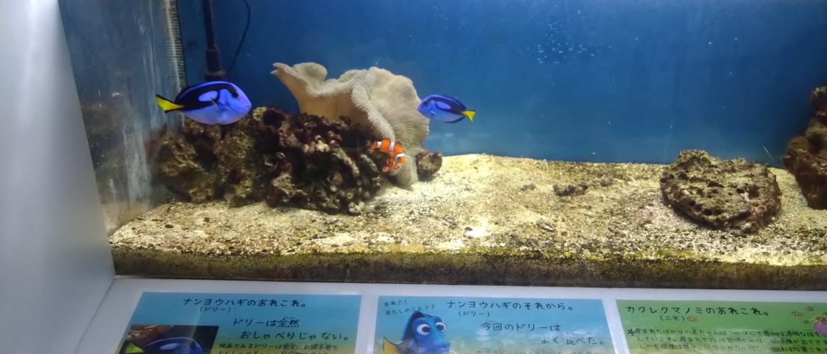 f:id:kaji-ta:20210214221208j:plain
