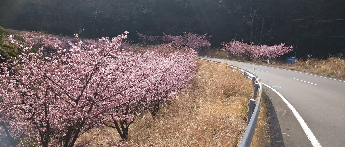 f:id:kaji-ta:20210214225100j:plain