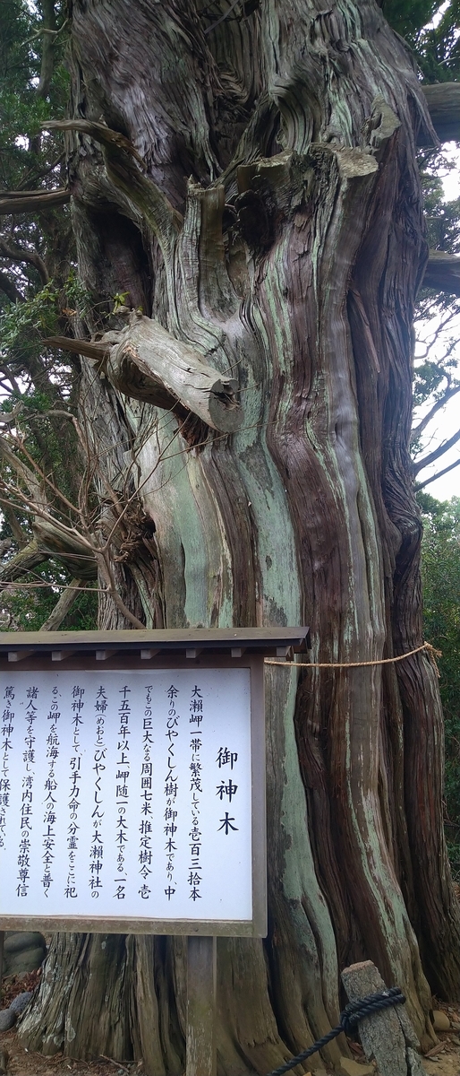 f:id:kaji-ta:20210214225421j:plain