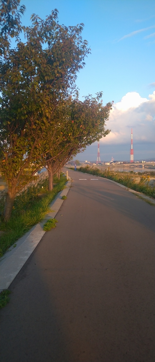 f:id:kaji-ta:20211101164129j:plain