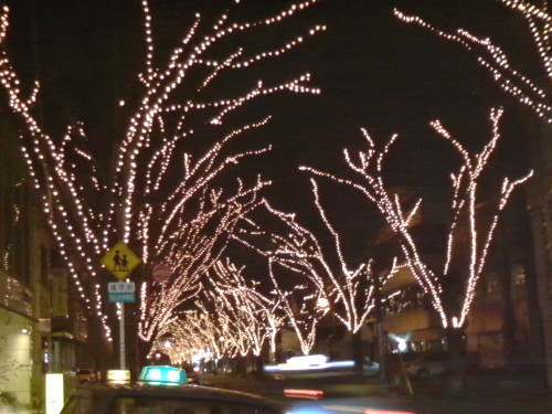 f:id:kajiakira:20081213065748j:image