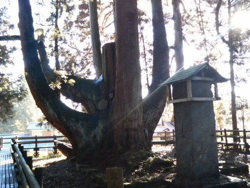 f:id:kajiakira:20081220204745j:image