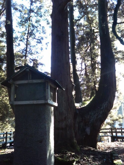 f:id:kajiakira:20081220204746j:image