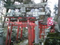 [新潟の神社・仏閣]の神社・仏閣]大友稲荷奥の院２００９０１０１－０２（新発田市）